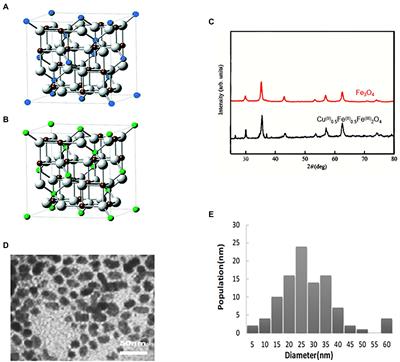 Novel copper-containing ferrite nanoparticles exert lethality to MRSA by disrupting MRSA cell membrane permeability, depleting intracellular iron ions, and upregulating ROS levels